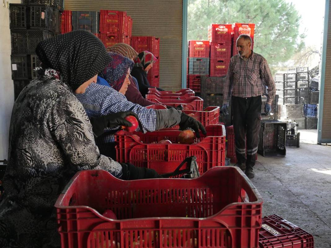 Neye niyet, neye kısmet: İlçenin ekonomisini ayağa kaldırdı! Yüksek gelir elde ediyorlar, kapış kapış satılıyor 12